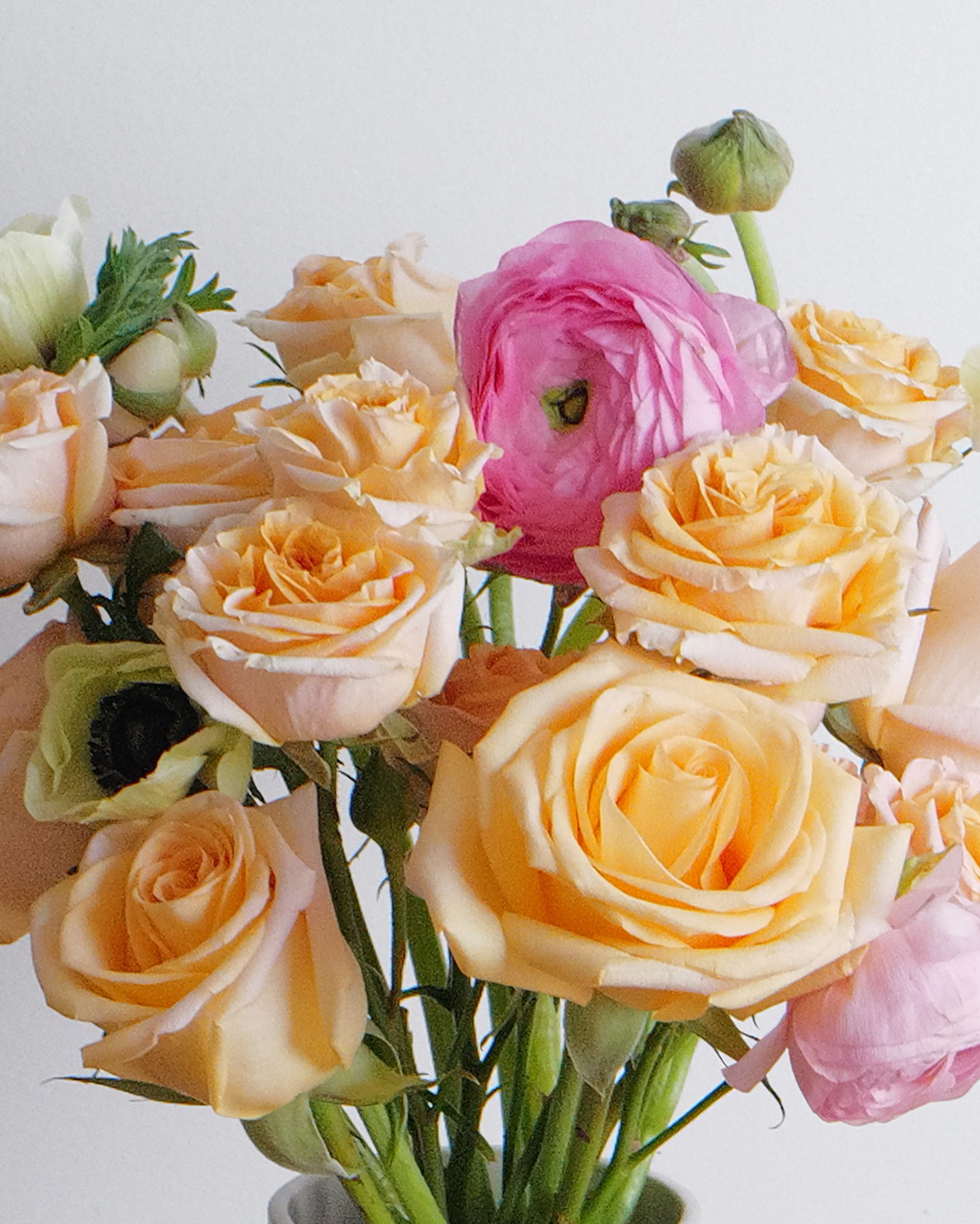 Close view of peach roses in soft shades with a bright pink ranunculus, a ranunculus bud and a pale green anemone
