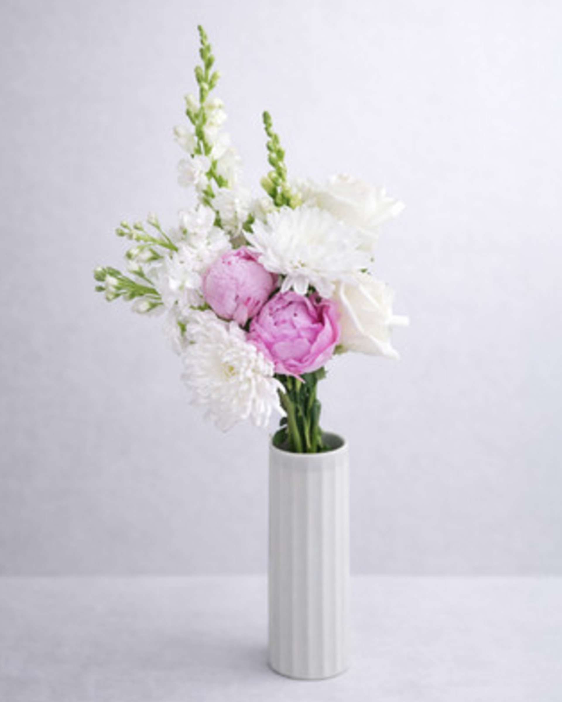 Pink peonies, white roses, white chrysanthemums and white snapdragons in a tall ribbed white vase on a pale grey backdrop